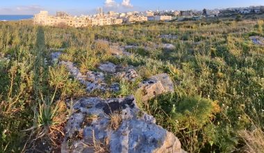 pembroke-sports-complex