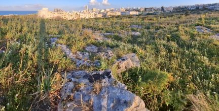 pembroke-sports-complex